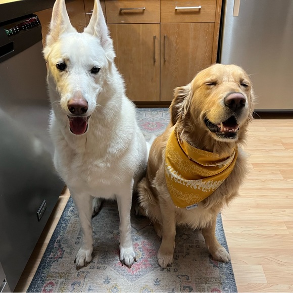 Meet your Poshmark Ambassador, Nicole - Picture 2 of 8